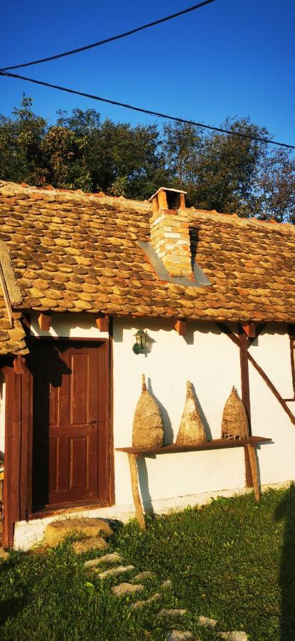 Apartamento Etno Domacinstvo Miris Bosiljka Mislodin Exterior foto
