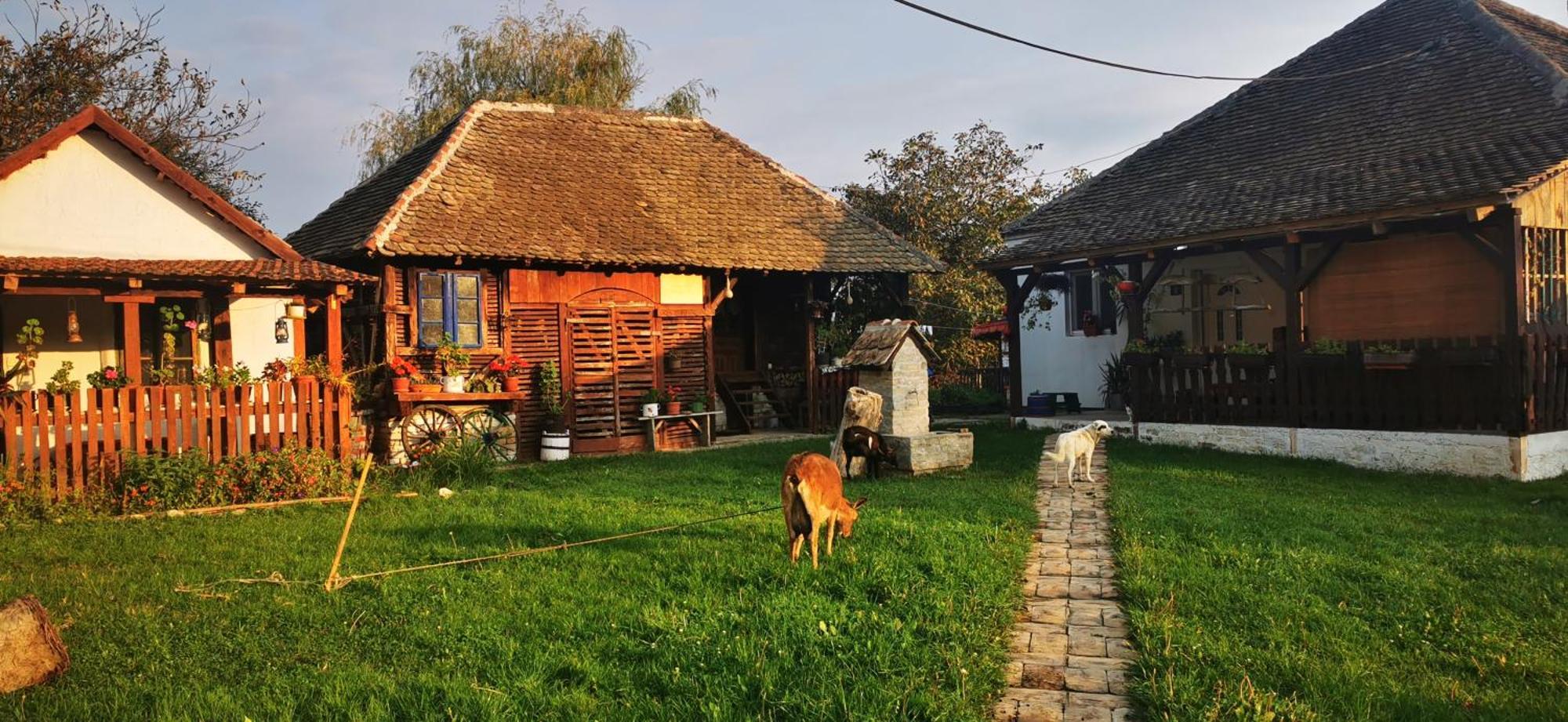 Apartamento Etno Domacinstvo Miris Bosiljka Mislodin Exterior foto